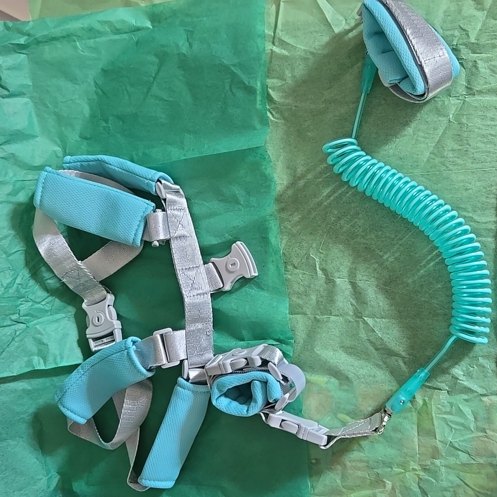 Turquoise and Gray Child Safety Harness